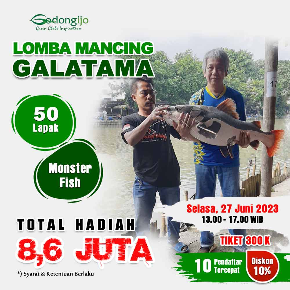 mancing predator fish