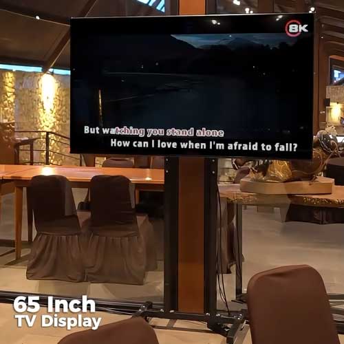 65 inch tv display