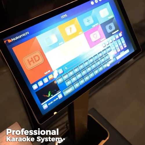 Professional karaoke system