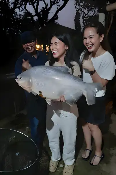 Ikan bawal adalah sejenis ikan dari keluarga Bramidae. Ikan ini berasal dari Hawaii dan sejumlah daerah di Indonesia. Ikan bawal hidup berkoloni dan termasuk jenis ikan predator.