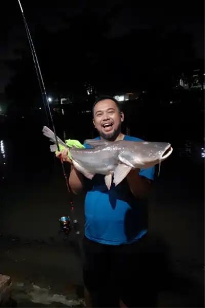 Patin raksasa Mekong, Pangasianodon gigas, adalah spesies ikan berkumis dalam famili Pangasiidae. Sesuai namanya, ikan ini berasal dari Sungai Mekong di Asia Tenggara.