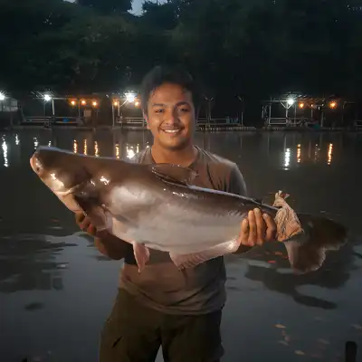 Ikan patin (Pangasius sp.) merupakan salah satu ikan asli perairan Indonesia. Ikan patin memiliki bentuk tubuh memanjang, berwarna putih perak dengan punggung berwarna kebiruan.