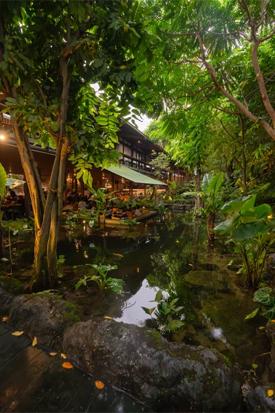 Desain yang menghadirkan harmoni sempurna antara elemen air dan alam