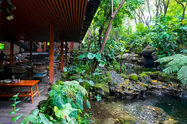 Lingkungan alam hijau yang tumbuh subur