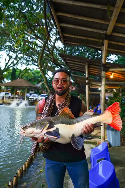Redtail catfish (RTC), di alam aslinya, ikan ini diketahui dapat tumbuh besar hingga mencapai 2 m dengan bobot mencapat 100 kg.