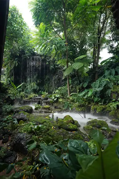 Konsep penataan lansekap alami berupa adanya air terjun dan vegetasi yang subur, menciptakan setting ideal untuk acara korporat dan intim.