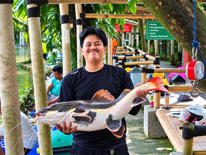 Monster Fish