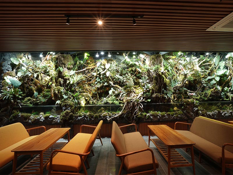 The Green Room